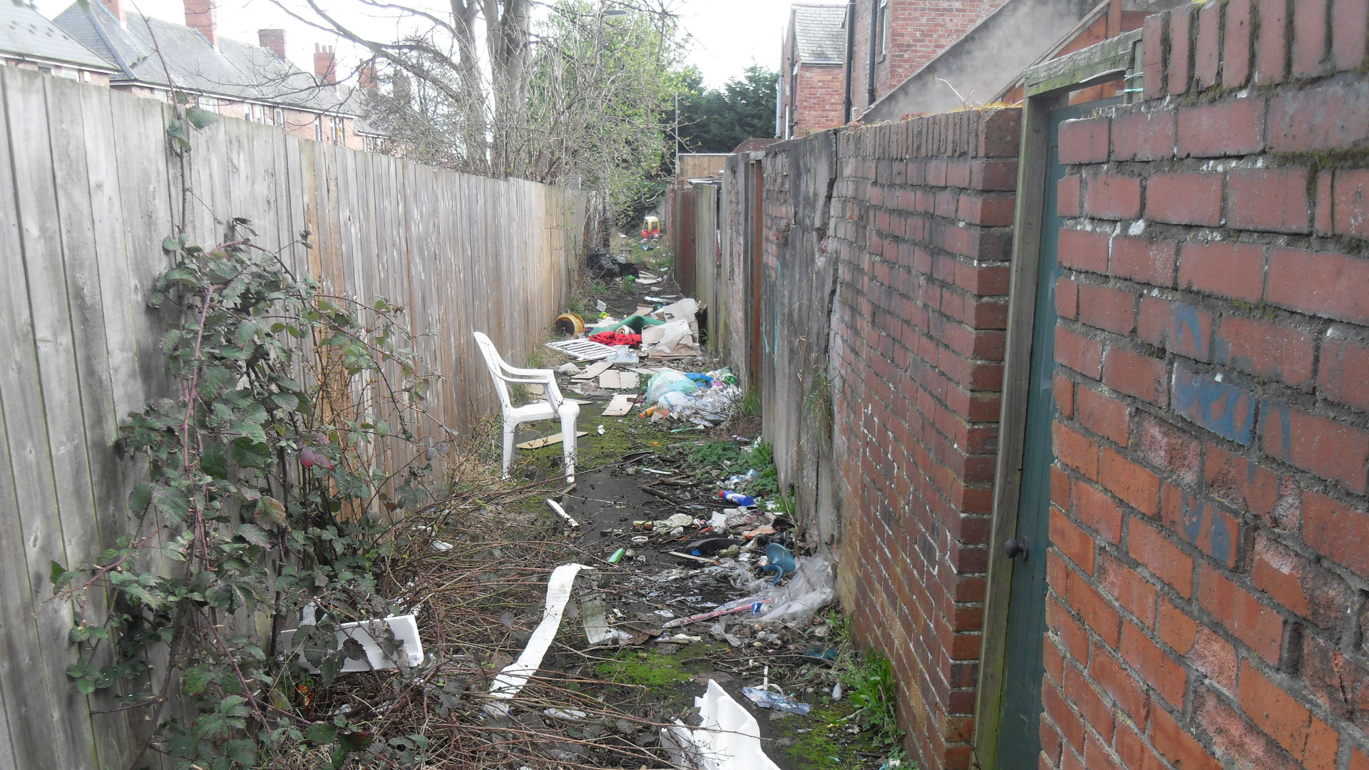 a back lane before a litter pick